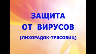 Защита от вирусов (лихорадок-трясовиц)