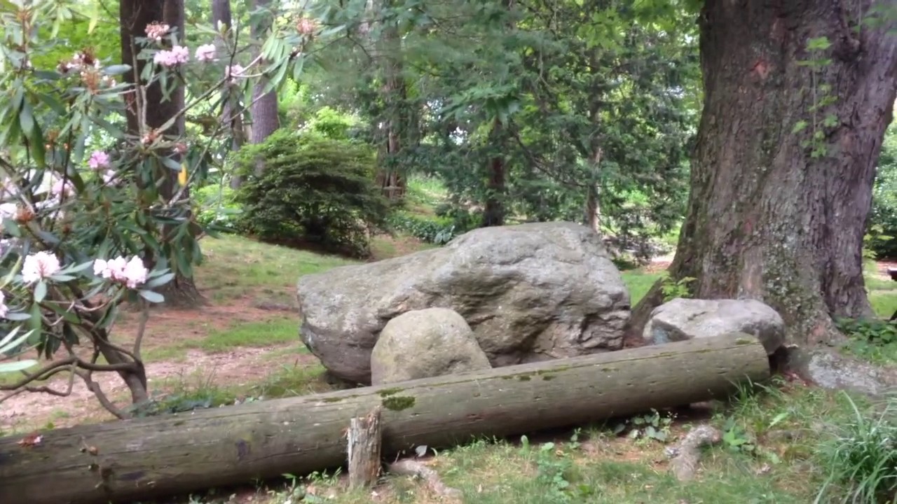 Metal Detecting Gold Coast N.Y. CTX3030 Turns up my first Barber Quarter YouTube
