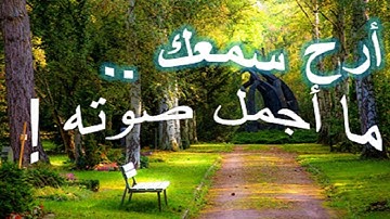 اروع التلاوات المؤثرة 2021 ||ما تيسر من سورة الحجرات