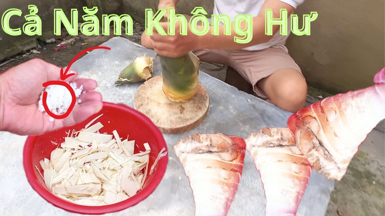 2 Cách Bảo Quản Măng Cả Năm Không Hư Và Lột Võ Măng Cực Nhanh/Mẹo Làm Cho Măng Cả Năm Không Bị Hư