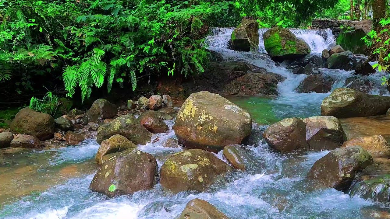 Flowing River Audio | Soothing Nature Sound to Sleep and Breathe Easy