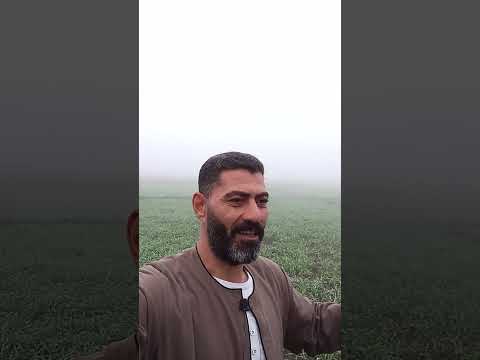 مقاطعة الزمالكويه لابراهيم سعيد محمد ابراهيم لاعب سيرميكا بيقول احنا متظلمناش في السوبر