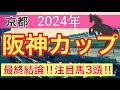 【阪神カップ2024】蓮の競馬予想(最終結論)