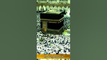 أواخر سورة الزمر [الجزء:٢] بصوت  خاشع مبكي للشيخ ماهر المعيقلي من الحرم #تلاوة_تصعد_بك_لعنان_السماء