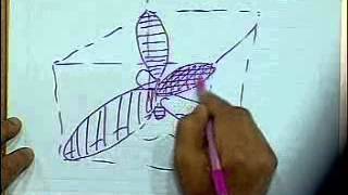 14 Band Theory of Solids part 2)