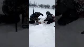 Монстр под водой