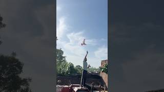 Baadshah shera 🕊️#shorts #ytshorts #pigeon #youtubeshorts #trending #shortsfeed #skypathouse