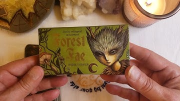 Forest Fae by: Nadia Turner, Published by Rockpool