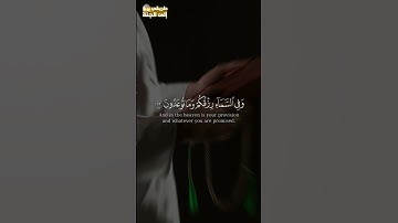 وفى السماء رزقكم وما توعدون #سورة_الذاريات #فارس_عباد #trend #trending #explore #اكسبلور #قرآن #ترند