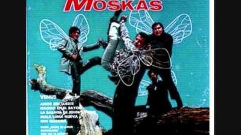 Las Moskas - Venus