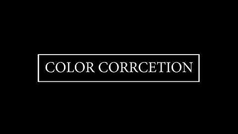 Color Correction/ Motion Track / Camera Track