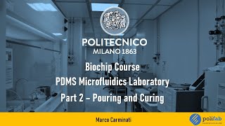 PDMS Lab 2/3