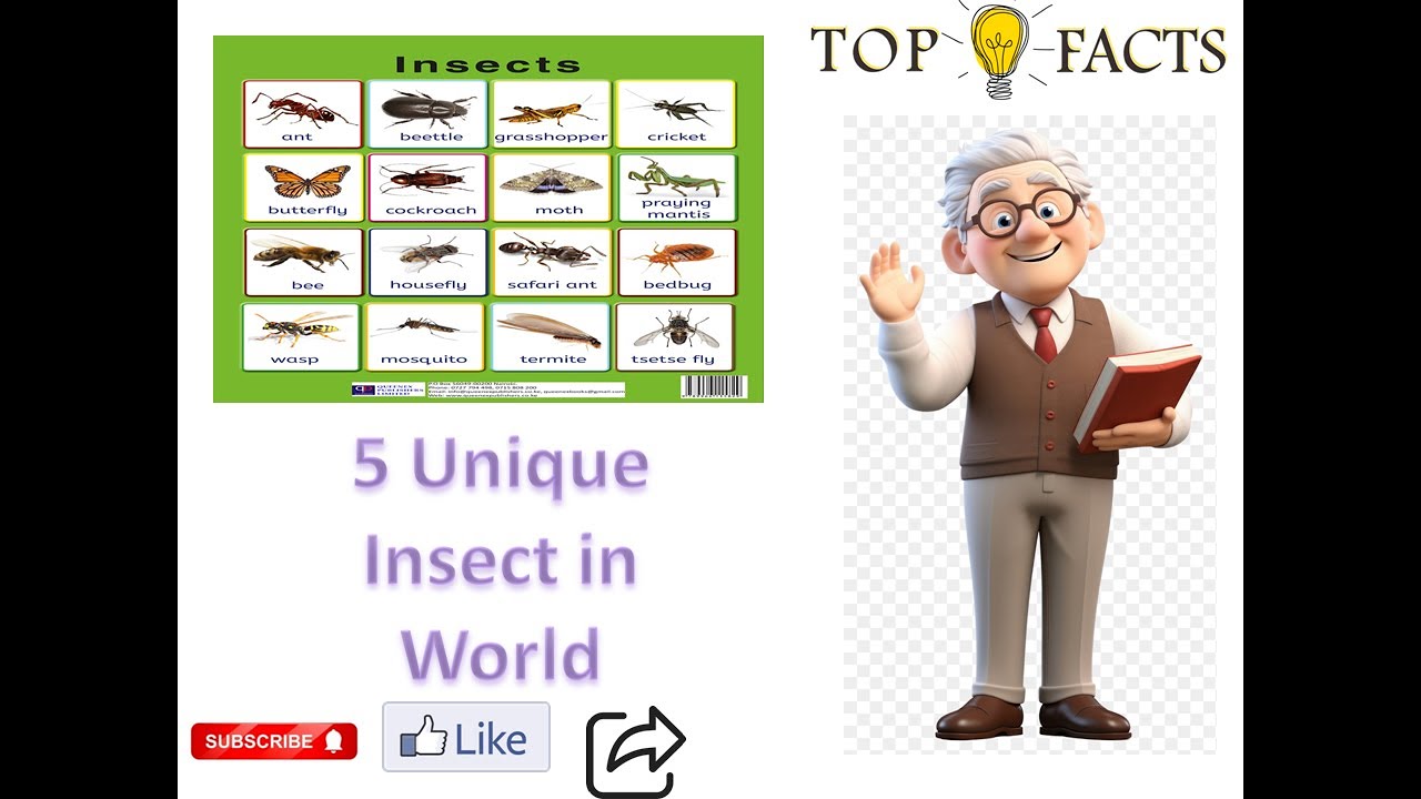 5 Unique Insects that You Don't See Before   I   Grow your Knowledge   I   Factsmine