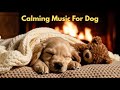 DOG TV 🐾 Calming Music Dogs Love When Alone #dogmusic 12 Hour Calming Dog TV