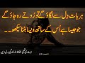 Best Urdu Quotes|Heart Touching Urdu Quotes|Amazing Quotations|Beautiful Quotes On Life in Urdu