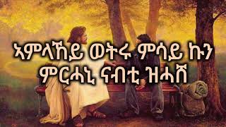 Zsgio Imba -Orthodox Tigrigna Mezmur ዝጽግዖ እምባ -ኦርቶዶክስ ትግርኛ መዝሙር