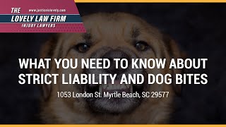 What You Need To Know About Strict Liability And Dog Bites