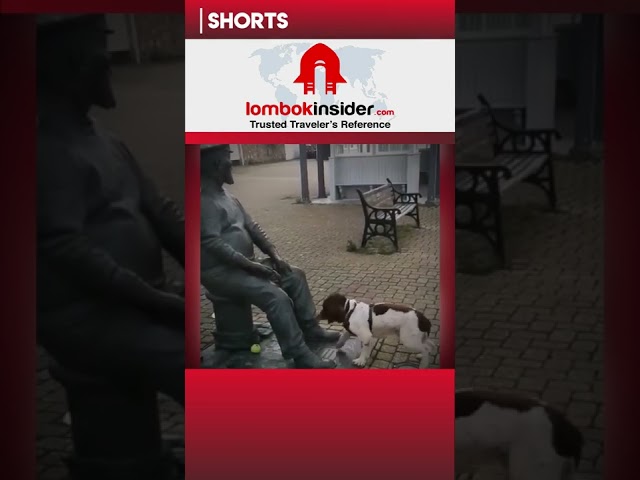 Berharap kepada orang yang salah, terkadang menyakitkan. Apa anda pernah mengalami juga? #shorts