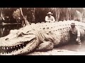 15 Largest Crocodiles In The World