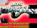 los padrotes del hyphy - el compita.flv