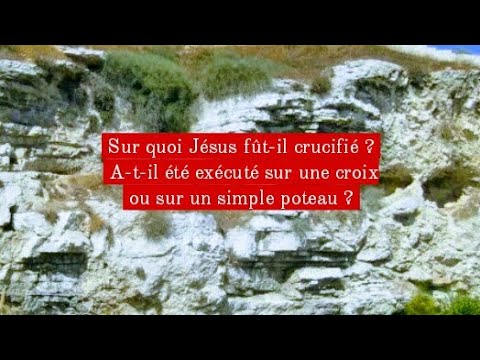 Vidéo: Jésus est-il monté sur un âne ou un colt ?