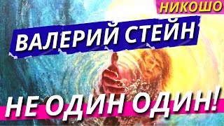 Валерий Стейн: Не Один Один! (Полная Аудиокнига, Читает Nikosho)