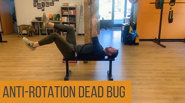 The Anti Rotation Dead Bug | Core Strengthening Exercise