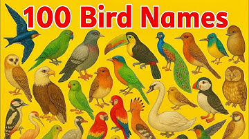 100 Birds Names with Sounds | Learn Birds for Kids | Bird Video with Realistic Animation #kids