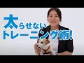 【犬 しつけ】今日からできる太らないトレーニング術 | プロドッグトレーナー直伝