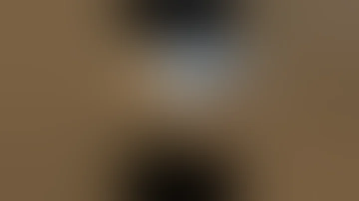 Ninja defuse #clutch #cs2 #csgo #funny #gg #letsplay #counterstrike