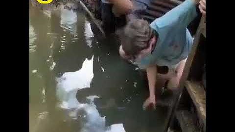 Skill dewa tangkap ikan