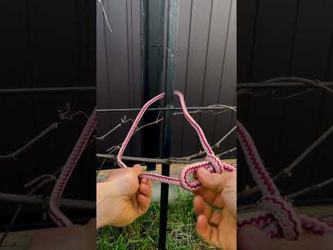 Taut Line Hitch