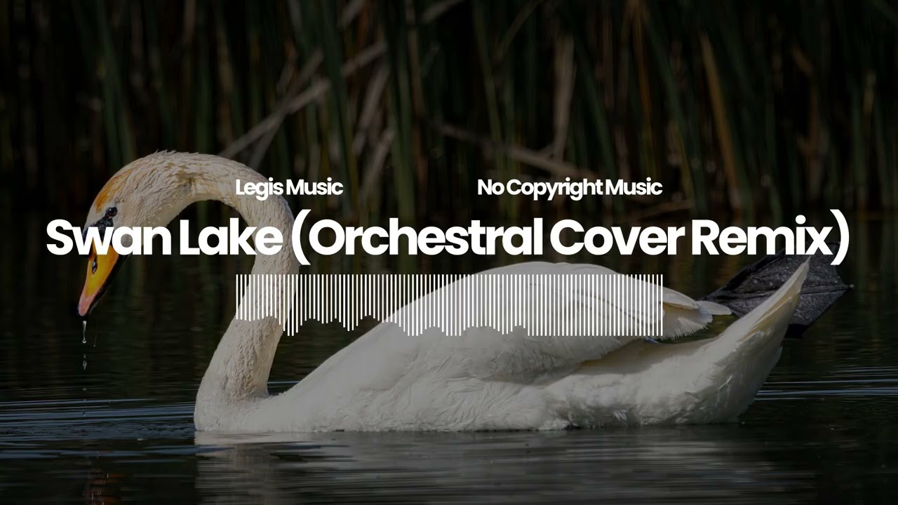 Epic Classical Royalty-Free Music for Film & YouTube | Swan Lake