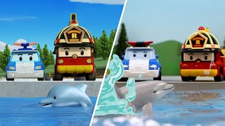 Proteggiamo Gli Animali Marini│Poli Nella Vita Reale│Animazioni Per Bambini│Robocar Poli Tivù