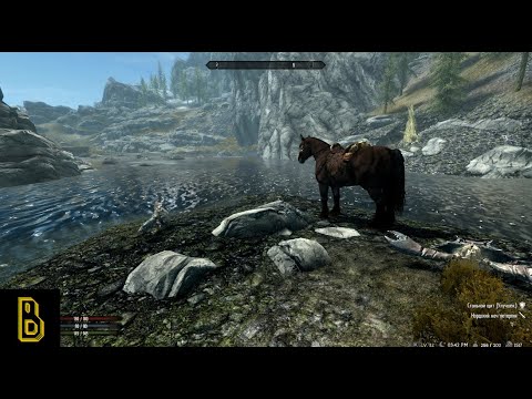 Видео: Всё ради коня. Skyrim RfaD #7