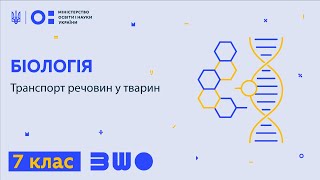 картинка: 7 клас. Біологія. Транспорт речовин у тварин
