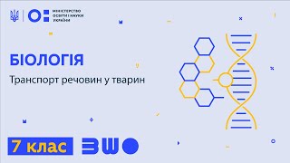 7 клас. Біологія. Транспорт речовин у тварин