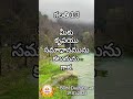 అనుదిన జీవాహారము | 19.01.2025 | BDM Daily Bread in 4 Languages