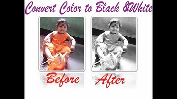 How to Convert Color Image to Black and white in MS Word |