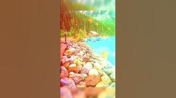 سورة الانبياء   الارض يرثها عبادي الصالحون