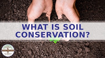What is Soil Conservation? Types of Soil Conservation