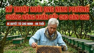 HƯỚNG DẪN GIÃN CẦU,CHỐNG NÓNG CHO ONG,ĐÀN MỚI CHIA 2 LÊN 3.