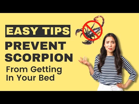 How To Prevent Scorpions From Getting In Your Bed Top Repellents