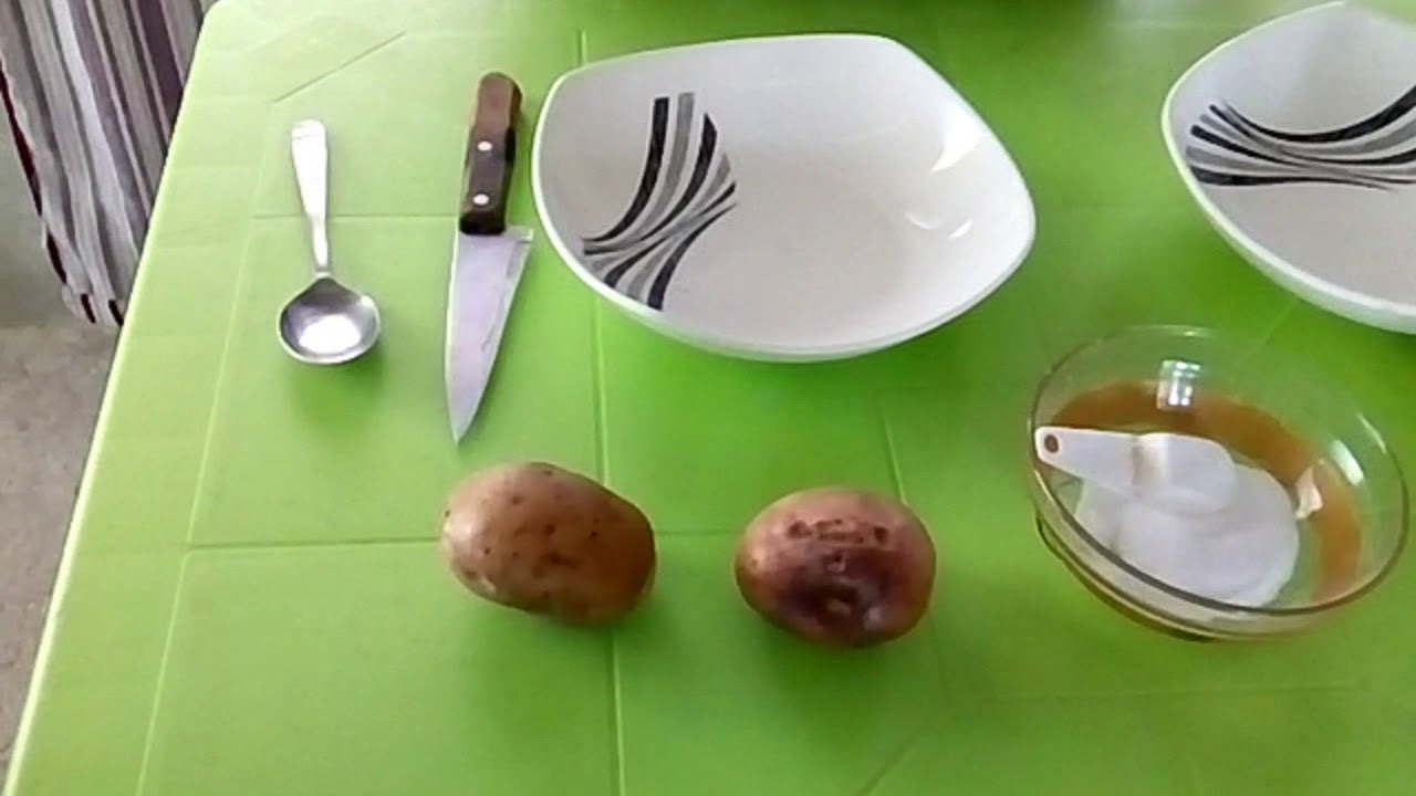 ÓSMOSIS (experimento de la papa) YouTube