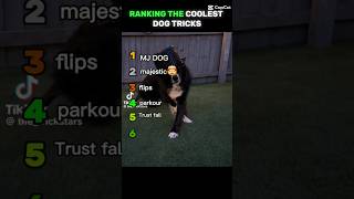 Ranking the COOLEST DOG TRICKS OF ALL TIME #ranking #funny #dogs