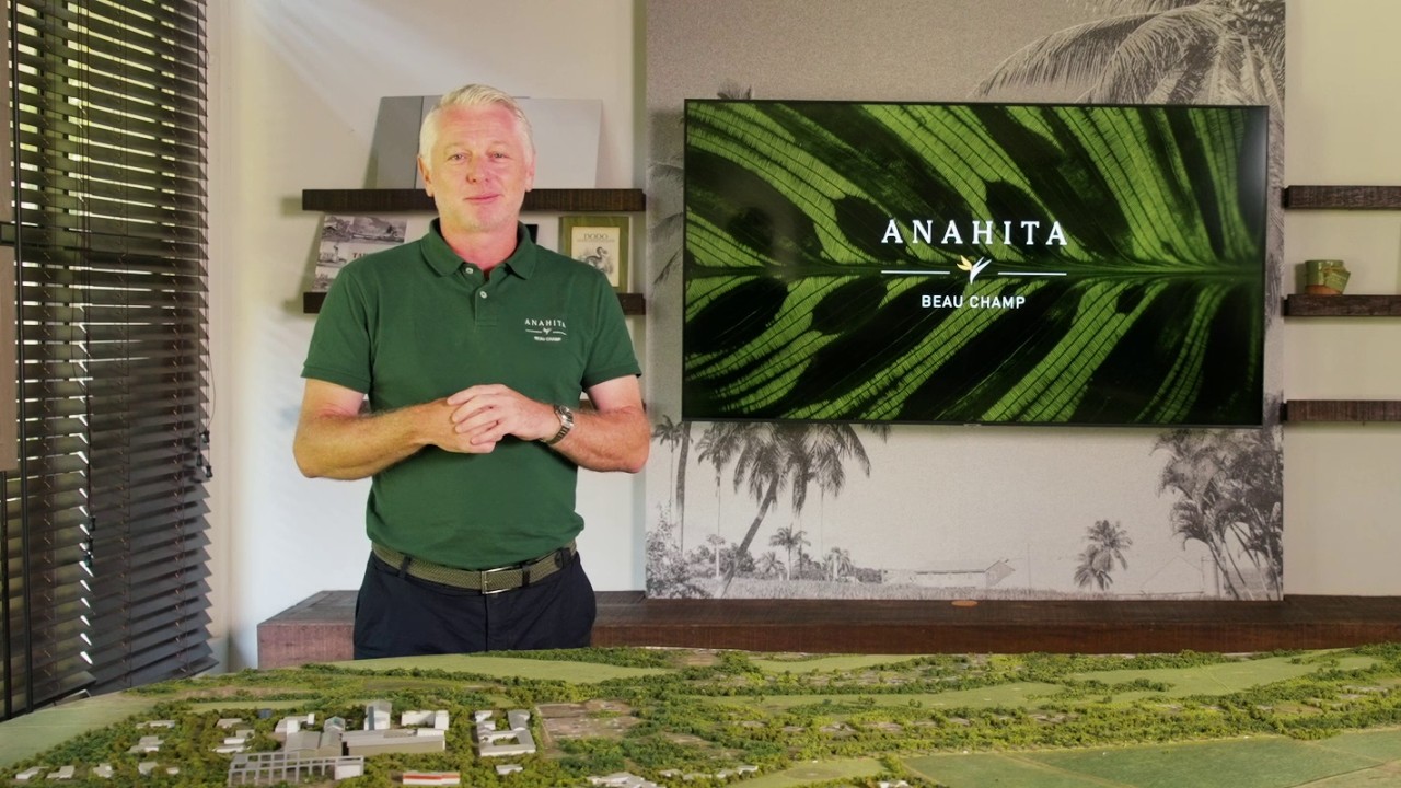 Project updates | Vision & work in progress | Anahita Beau Champ