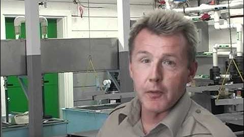 Go Fish BC: Rearing from Trough to Raceway