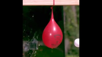 Slow motion video || Reverse version #shorts