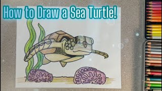 How to Draw a Sea Turtle