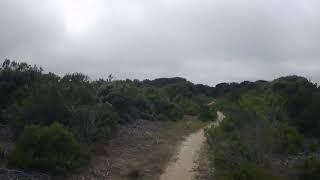 Trail 66 - Ft. Ord National Monument
